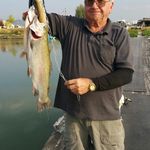 Wayne Broadhead - @broadheadwayne - Instagram