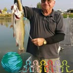 Wayne Broadhead - Facebook