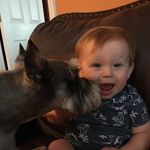 Wayne Brock - @waynebrock7286 - Instagram