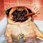 Wayne Brock - @wayne.brock.9 - Instagram