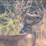 Wayne Brock - @theduvalranch - Instagram