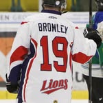 Wayne Bromley - @wdbromley - Instagram