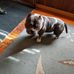 Wayne Brooks - Facebook