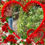 Wayne Brooks - @wayne.brooks.731135 - Instagram