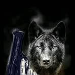 Wayne Bruckner - Facebook