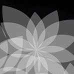 Wayne Bruckner - Facebook