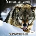 Wayne Bruckner - Facebook