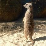 Wayne Brydon - @brydonwayne - Instagram