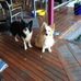 Wayne Bunch - Facebook