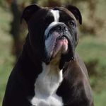 Wayne New Burford - @waynenewburford - Instagram
