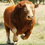 Wayne Burney - @wayneburney19 - Instagram