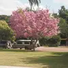 Wayne_Burnside - @wayne_burnside - TikTok