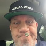 Wayne Burrini - @wayneburrini - Instagram