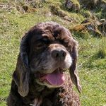 Wayne Burridge - @burridgewayne - Instagram