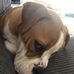 Wayne Burridge - Facebook