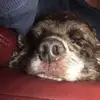 Wayne Burridge - @wayne.burridge - TikTok