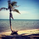 WayneBurridge36 - @wayneburrige39 - Instagram