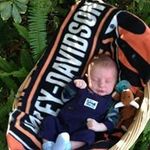 Wayne Bussard - @waynebussard - Instagram