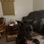 Robert Wayne Butterworth - @robertbutterworth9 - Instagram