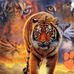 Wayne Caddell - Facebook