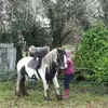 Wayne Caffrey578 - @waynecaffrey578 - TikTok