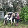 Wayne Caffrey578 - @waynecaffrey578 - TikTok