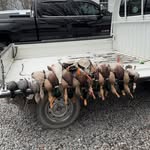 Colin Cahoon - @colinwaynecahoon - Instagram