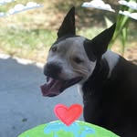 Wayne Cain - @wcj800 - Instagram
