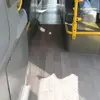 Wayne Camara - @wayne.camara - TikTok