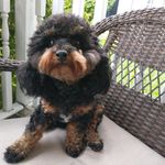 Wayne Campau - @wcampau007 - Instagram