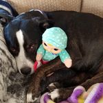 Wayne Dudley - @waynecanada57 - Instagram