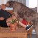 Wayne Canfield - Facebook