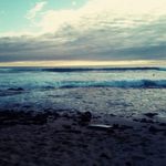 Wayne Cardoza - @cardozawayne - Instagram