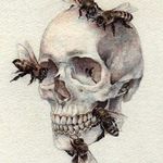 Wayne Cardwell - @w_cwell - Instagram