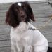 Wayne Cargill - Facebook