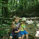 Wayne Carlisle - @wcrl79 - Instagram