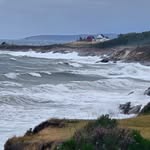 Wayne Carlson - @wayne.i.carlson - Instagram
