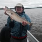 Wayne Carlson - @waynecarlson1723 - Instagram