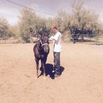 Wayne Carman - @wayne_carman - Instagram