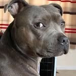 Wayne Carmichael - @waynecarmichael5 - Instagram