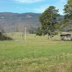 Wayne Carmody - Facebook