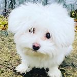 Wayne Carpendale - @offiziellwaynecarpendale - Instagram