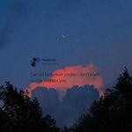 wayne Carpendale - @waynecarpendale002 - Instagram