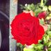 Wayne Carpendale - Facebook