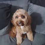 Wayne Cartwright - @waynr20002000 - Instagram