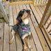 Wayne Knautz - Facebook