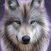 Wayne Caswell - Facebook