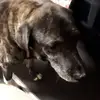 Wayne Castle - @wayne.castle1 - TikTok