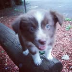 waynecastle - @waynecastle8 - Instagram