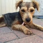 Wayne Catt - @waynecatt - Instagram